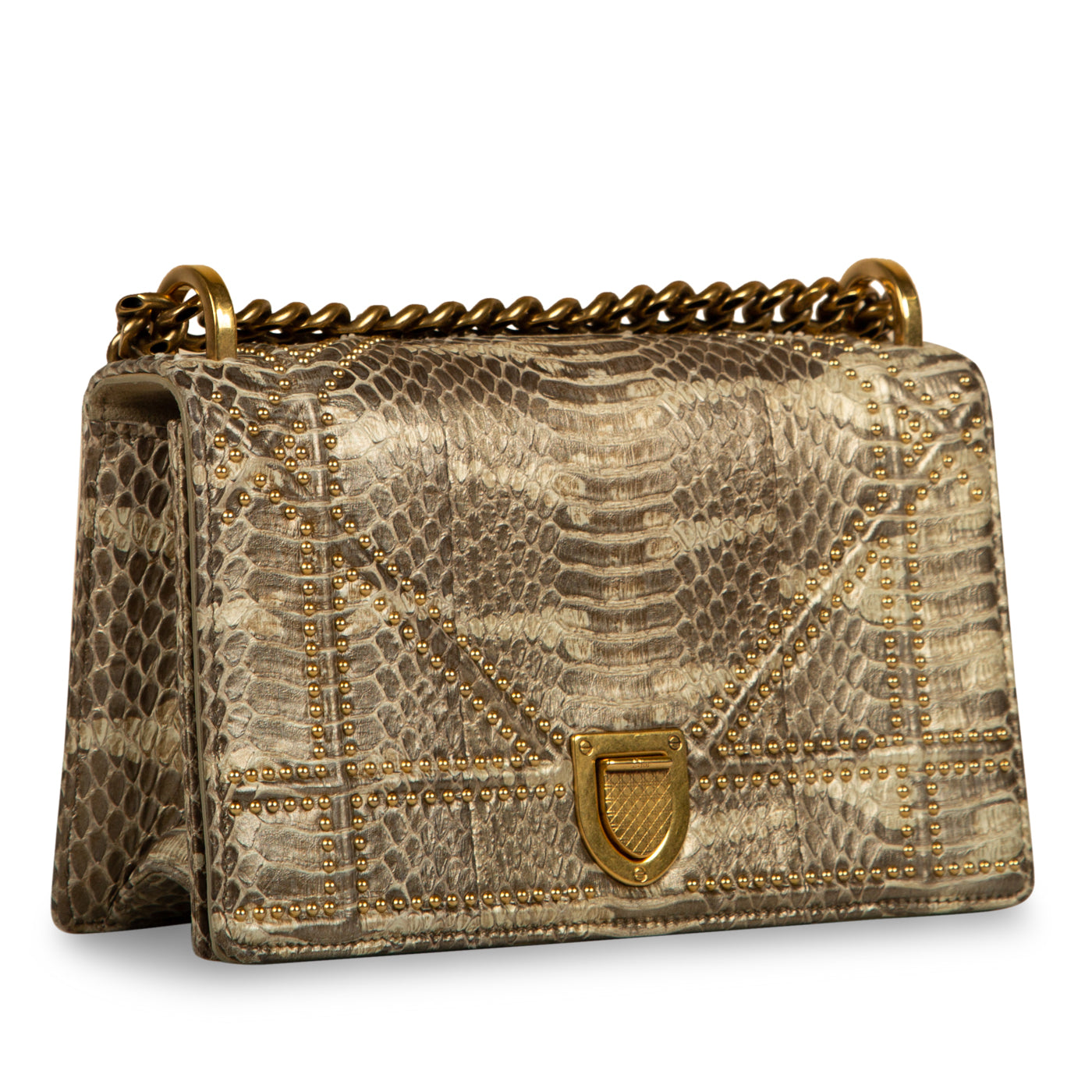 Small Studded Diorama - Python - Image du produit 2